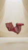 03 AMBER, 01 KOSAS, 02 WILD ROSE, 04 BREEZE, 05 TOKYO, 06 SISLEY, 06 SISLEY,08 LUMINA